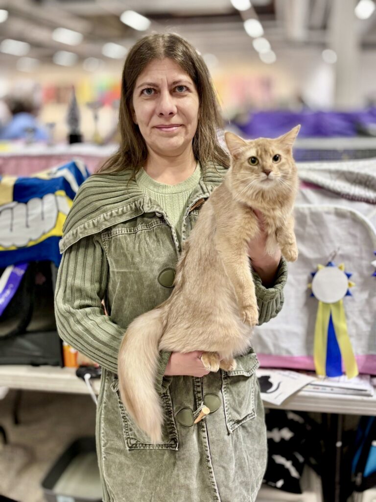 Foxholm fawn somali cat